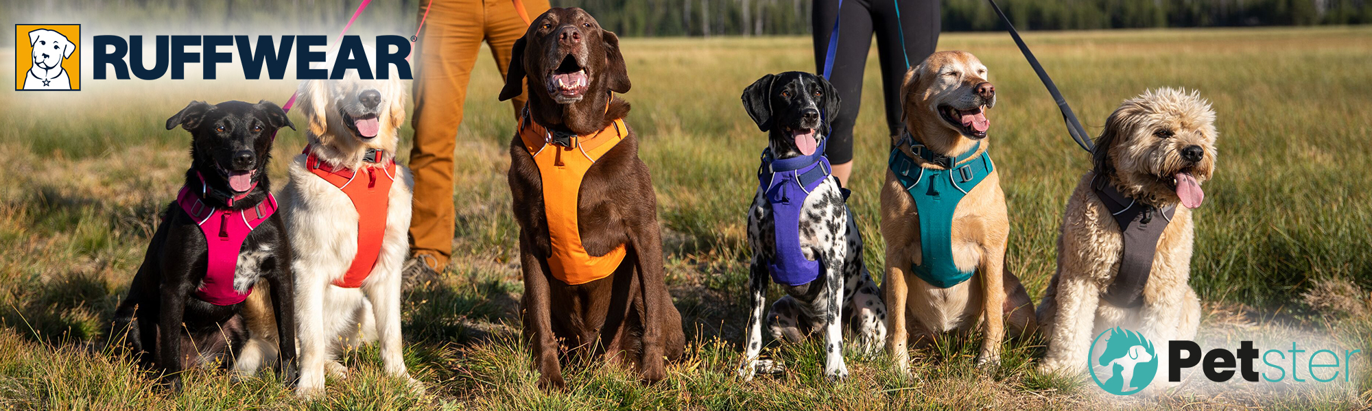 Ruffwear Dog Harnesses for big and small PETSTER